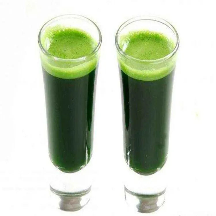 Clorofila Liquida
